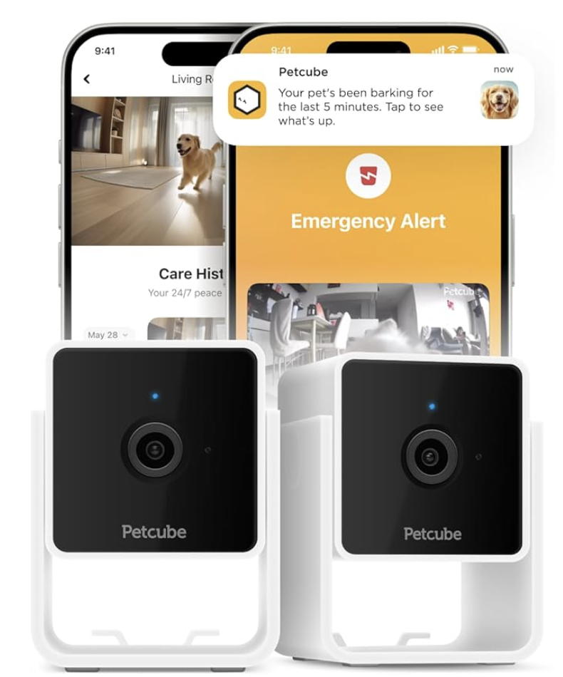 Dog camera with two-way audio to monitor pets in crate remotely